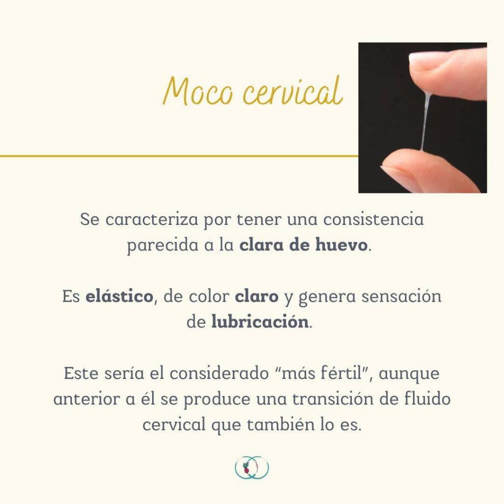 Instagram post from elartedealimentarse. This post is in position 3.