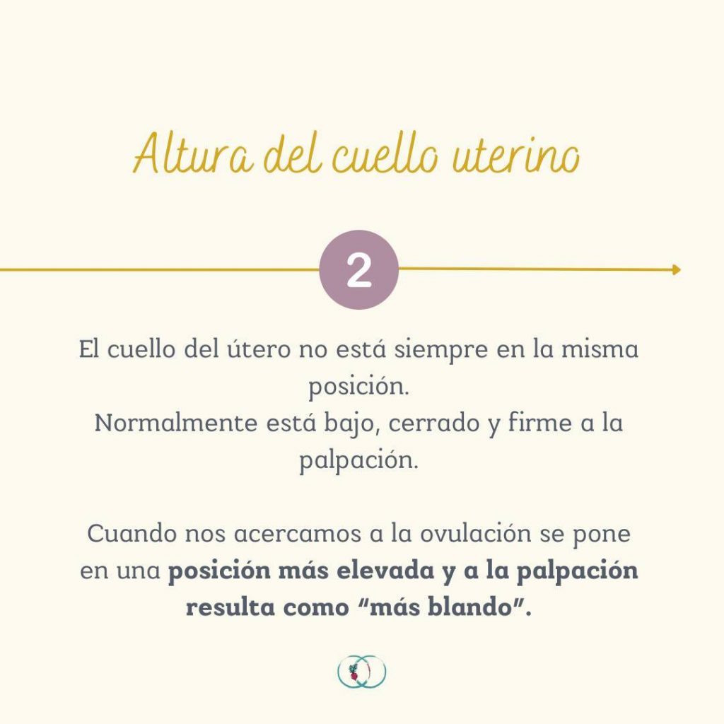 Instagram post from elartedealimentarse. This post is in position 4.