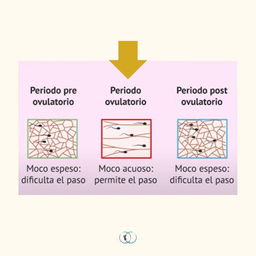 Instagram post from elartedealimentarse. This post is in position 2.