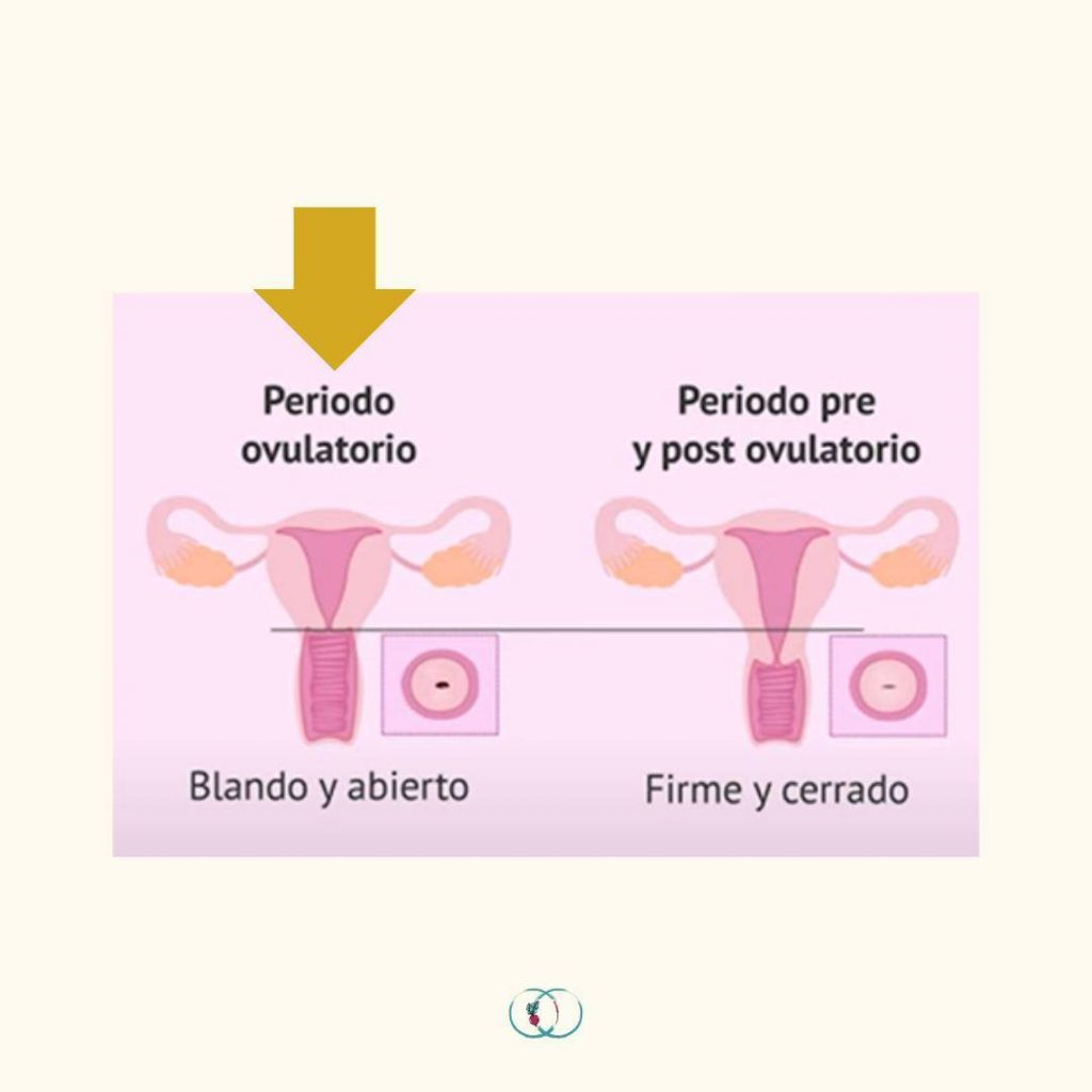 Instagram post from elartedealimentarse. This post is in position 5.