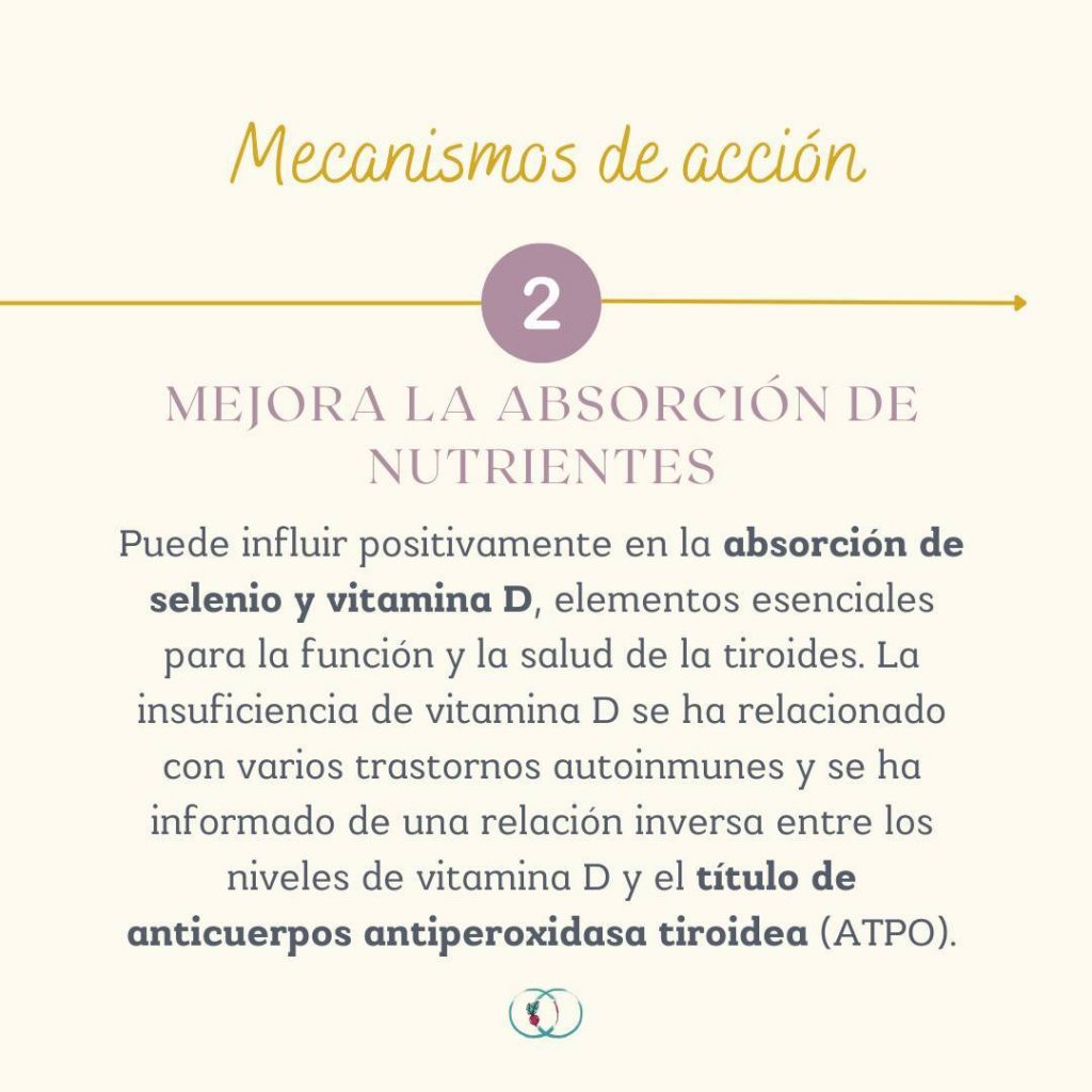 Instagram post from elartedealimentarse. This post is in position 2.