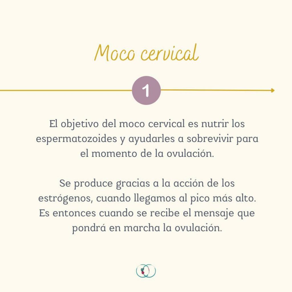 Instagram post from elartedealimentarse. This post is in position 1.